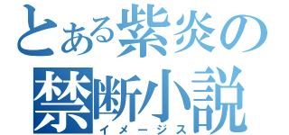 とある紫炎の禁断小説（イメージス）