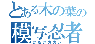 とある木の葉の模写忍者（はたけカカシ）