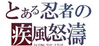 とある忍者の疾風怒濤（シュツルム・ウント・ドランク）