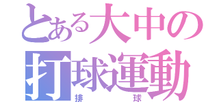 とある大中の打球運動（排球）