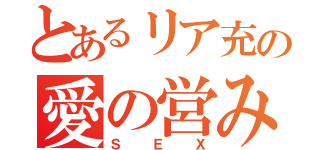 とあるリア充の愛の営み（ＳＥＸ）