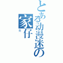 とある动漫迷の家仔（亮）