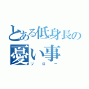 とある低身長の憂い事（ソロー）