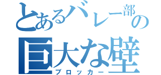 とあるバレー部の巨大な壁（ブロッカー）