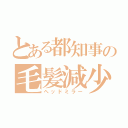 とある都知事の毛髪減少（ヘッドミラー）