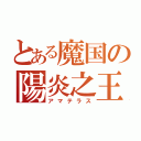 とある魔国の陽炎之王（アマテラス）