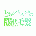 とあるバスケ部の波状毛髪（天然パーマ）