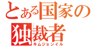 とある国家の独裁者（キムジョンイル）