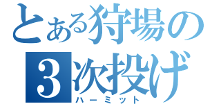 とある狩場の３次投げ（ハーミット）