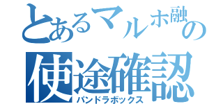 とあるマルホ融資の使途確認（パンドラボックス）