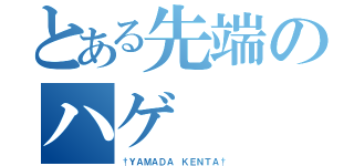 とある先端のハゲ（†ＹＡＭＡＤＡ ＫＥＮＴＡ†）