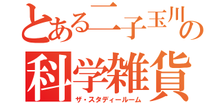 とある二子玉川の科学雑貨（ザ・スタディールーム）