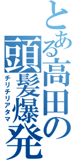 とある高田の頭髪爆発（チリチリアタマ）