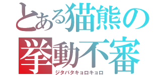 とある猫熊の挙動不審（ジタバタキョロキョロ）