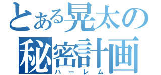 とある晃太の秘密計画（ハーレム）