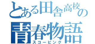 とある田舎高校の青春物語（スコーピング）