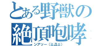 とある野獣の絶頂咆哮（ンアッー（≧Д≦））