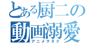 とある厨二の動画溺愛（アニメヲタク）