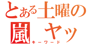 とある土曜の嵐　ヤッターマン（キーワード）