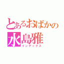 とあるおばかの水島雅（インデックス）