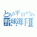 とある平日夕方の野球選手Ⅱ（髭面♂）