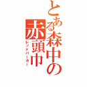 とある森中の赤頭巾（レッドパーカー）