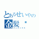 とあるせいやの金髪‼（インデックス）