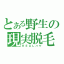 とある野生の現実脱毛（ＲＥＡＬハゲ）