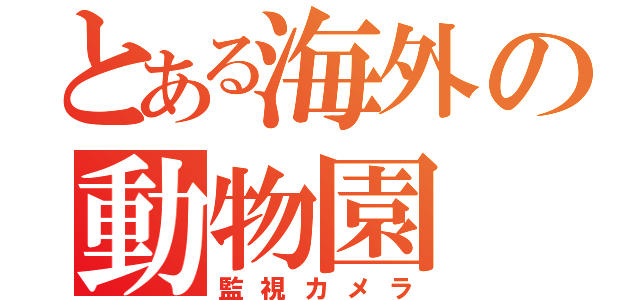 とある海外の動物園（監視カメラ）