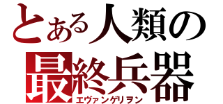 とある人類の最終兵器（エヴァンゲリヲン）