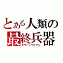 とある人類の最終兵器（エヴァンゲリヲン）