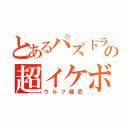 とあるパズドラの超イケボ（ウルフ師匠）