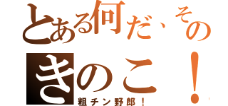 とある何だ、そのきのこ！（粗チン野郎！）