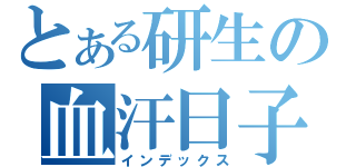 とある研生の血汗日子（インデックス）