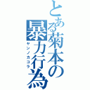 とある菊本の暴力行為（ヤンノカコラ）