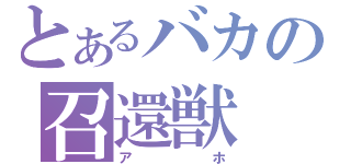 とあるバカの召還獣（アホ）