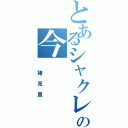 とあるシャクレの今（ 諸見里）