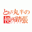 とある丸半の便所踏張（ブリブリ）