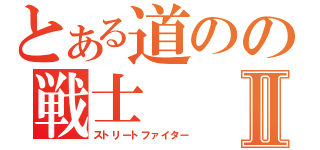 とある道のの戦士Ⅱ（ストリートファイター）