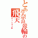 とある奈良競輪の飛天（チャンロト杯）