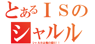 とあるＩＳのシャルル（シャルルは俺の嫁だ！！）