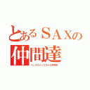 とあるＳＡＸの仲間達（インコのインコちゃん飼育係）