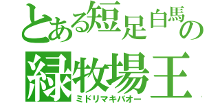 とある短足白馬の緑牧場王（ミドリマキバオー）