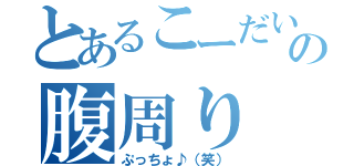 とあるこーだいの腹周り（ぷっちょ♪（笑））