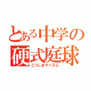 とある中学の硬式庭球部（こうしきテニスぶ）