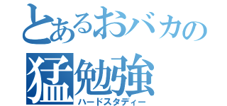 とあるおバカの猛勉強（ハードスタディー）