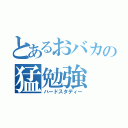 とあるおバカの猛勉強（ハードスタディー）