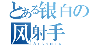 とある银白の风射手（Ａｒｔｅｍｉｓ）