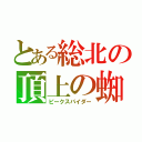 とある総北の頂上の蜘蛛男（ピークスパイダー）