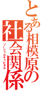 とある相模原の社会関係資本（ソーシャルキャピタル）